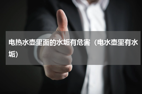 电热水壶里面的水垢有危害（电水壶里有水垢）