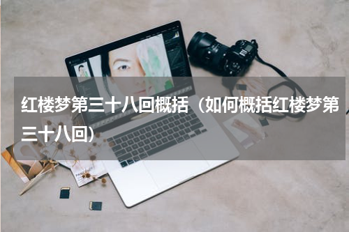 红楼梦第三十八回概括（如何概括红楼梦第三十八回）