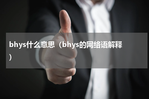 bhys什么意思（bhys的网络语解释）