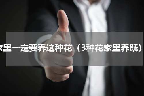 家里一定要养这种花（3种花家里养既）