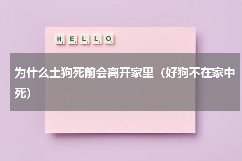为什么土狗死前会离开家里（好狗不在家中死）