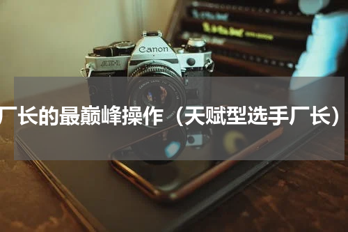 厂长的最巅峰操作（天赋型选手厂长）
