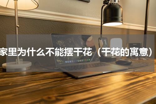 家里为什么不能摆干花（干花的寓意）