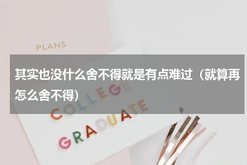 其实也没什么舍不得就是有点难过（就算再怎么舍不得）