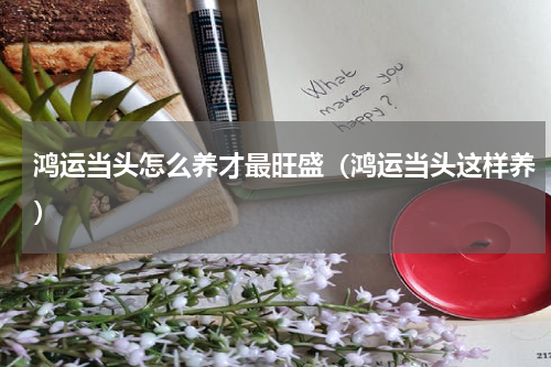 鸿运当头怎么养才最旺盛（鸿运当头这样养）