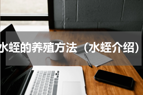 水蛭的养殖方法（水蛭介绍）