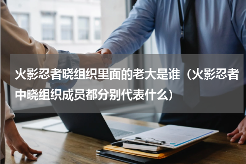 火影忍者晓组织里面的老大是谁（火影忍者中晓组织成员都分别代表什么）