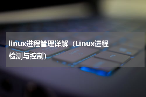 linux进程管理详解（Linux进程检测与控制）