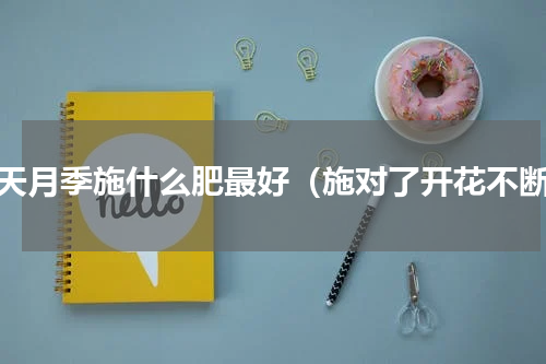 冬天月季施什么肥最好（施对了开花不断）