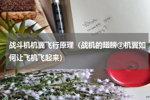 战斗机机翼飞行原理（战机的翅膀②机翼如何让飞机飞起来）