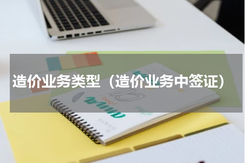 造价业务类型（造价业务中签证）