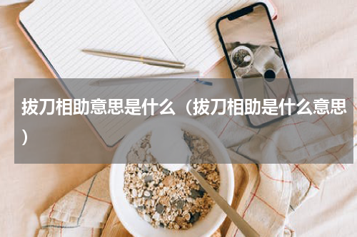 拔刀相助意思是什么（拔刀相助是什么意思）
