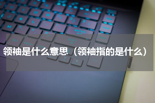 领袖是什么意思（领袖指的是什么）
