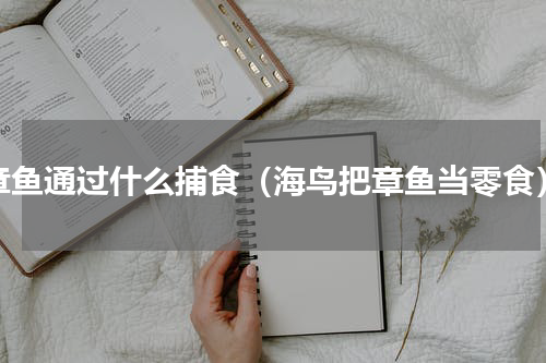 章鱼通过什么捕食（海鸟把章鱼当零食）