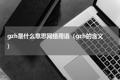 gzh是什么意思网络用语（gzh的含义）