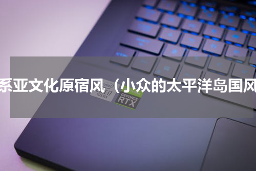 日系亚文化原宿风（小众的太平洋岛国风）