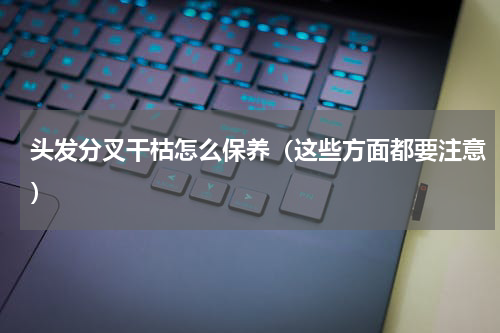头发分叉干枯怎么保养（这些方面都要注意）