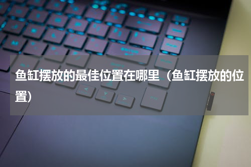 鱼缸摆放的最佳位置在哪里（鱼缸摆放的位置）
