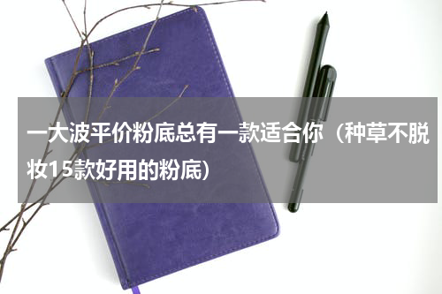 一大波平价粉底总有一款适合你（种草不脱妆15款好用的粉底）