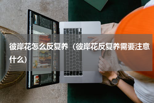 彼岸花怎么反复养（彼岸花反复养需要注意什么）