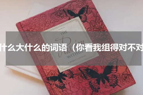 大什么大什么的词语（你看我组得对不对）