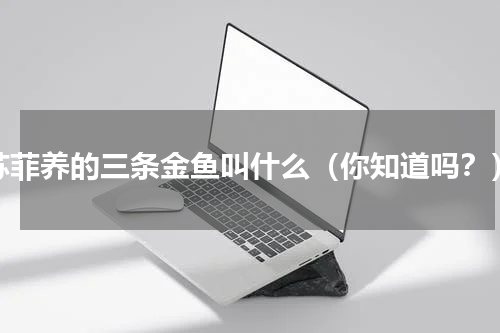 苏菲养的三条金鱼叫什么（你知道吗？）