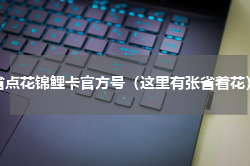 省点花锦鲤卡官方号（这里有张省着花）