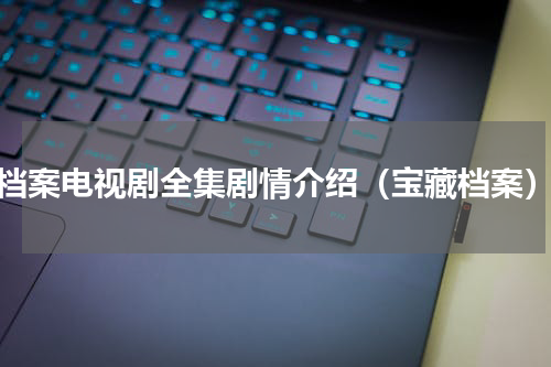 档案电视剧全集剧情介绍（宝藏档案）