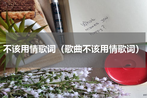 不该用情歌词（歌曲不该用情歌词）