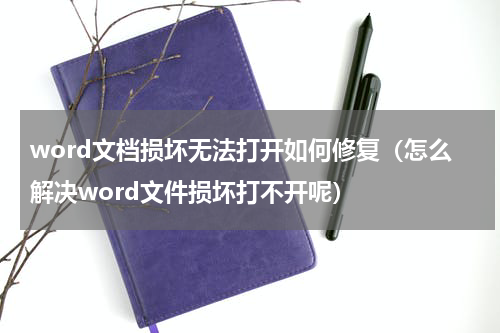 word文档损坏无法打开如何修复（怎么解决word文件损坏打不开呢）