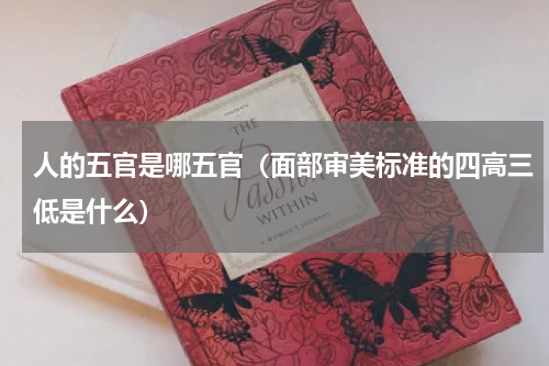 人的五官是哪五官（面部审美标准的四高三低是什么）