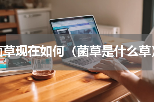 菌草现在如何（菌草是什么草）