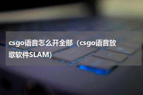 csgo语音怎么开全部（csgo语音放歌软件SLAM）