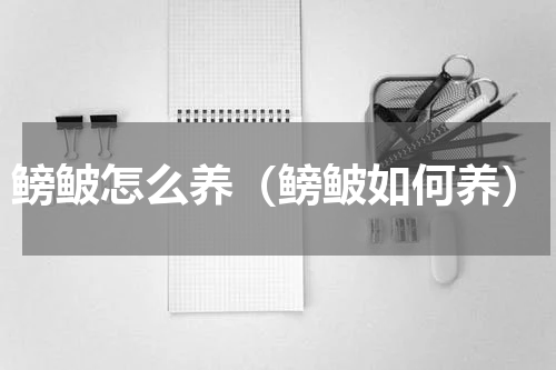 鳑鲏怎么养（鳑鲏如何养）