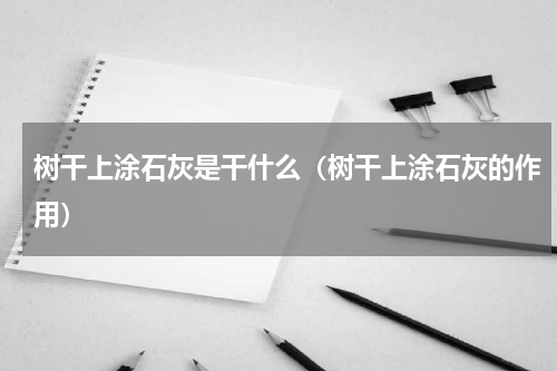 树干上涂石灰是干什么（树干上涂石灰的作用）