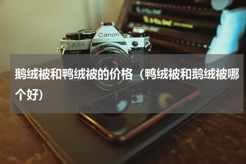 鹅绒被和鸭绒被的价格（鸭绒被和鹅绒被哪个好）