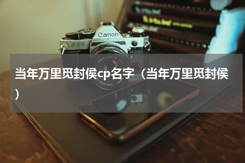 当年万里觅封侯cp名字（当年万里觅封侯）