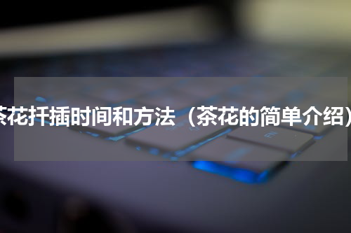 茶花扦插时间和方法（茶花的简单介绍）