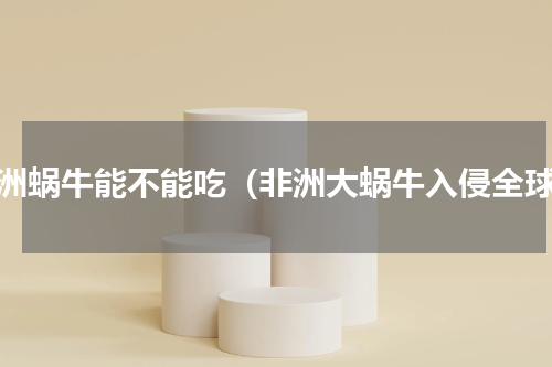 非洲蜗牛能不能吃（非洲大蜗牛入侵全球）