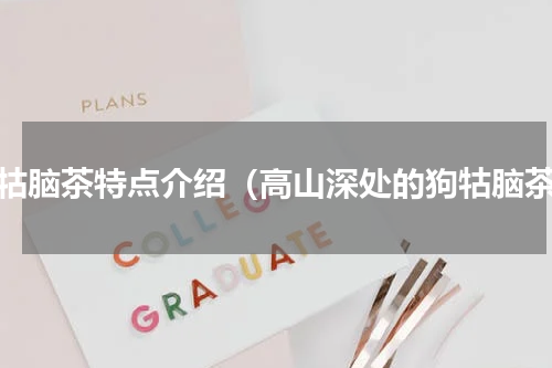 狗牯脑茶特点介绍（高山深处的狗牯脑茶）