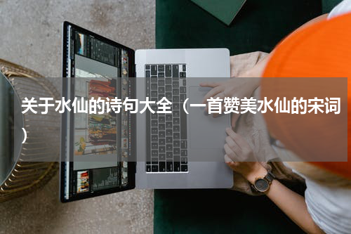 关于水仙的诗句大全（一首赞美水仙的宋词）
