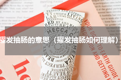 擢发抽肠的意思（擢发抽肠如何理解）