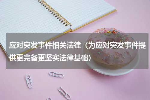 应对突发事件相关法律（为应对突发事件提供更完备更坚实法律基础）