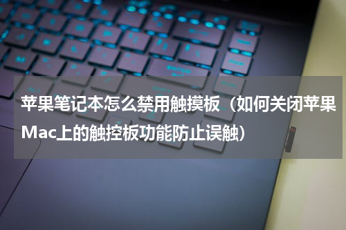苹果笔记本怎么禁用触摸板（如何关闭苹果Mac上的触控板功能防止误触）