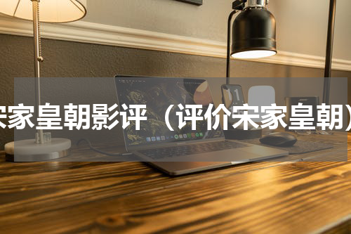宋家皇朝影评（评价宋家皇朝）