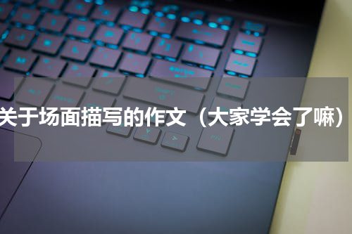 关于场面描写的作文（大家学会了嘛）