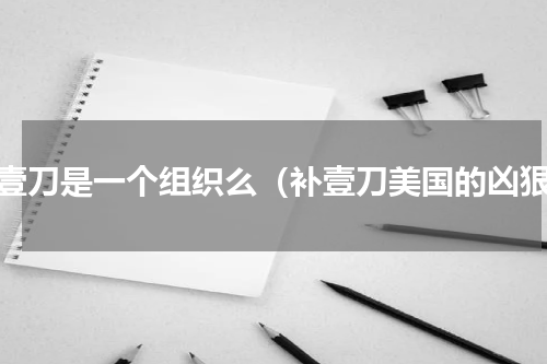 补壹刀是一个组织么（补壹刀美国的凶狠）