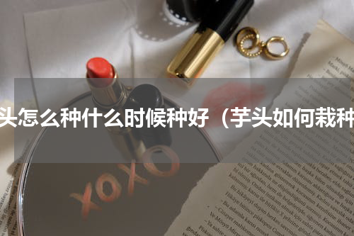 芋头怎么种什么时候种好（芋头如何栽种）