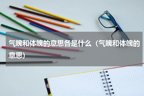 气魄和体魄的意思各是什么（气魄和体魄的意思）