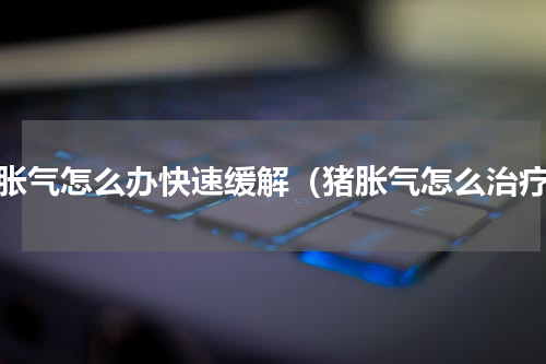 猪胀气怎么办快速缓解（猪胀气怎么治疗）